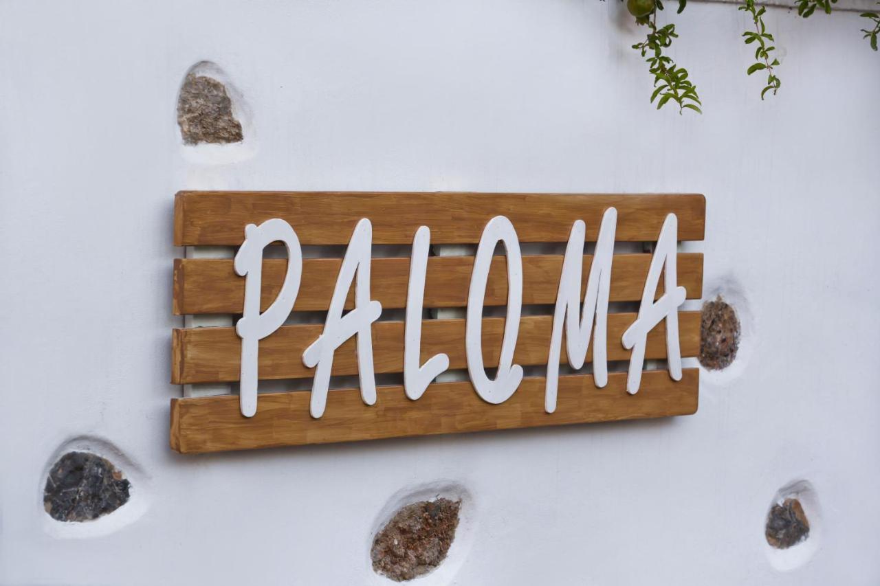 Paloma Luxury Studios Panormos  Bagian luar foto