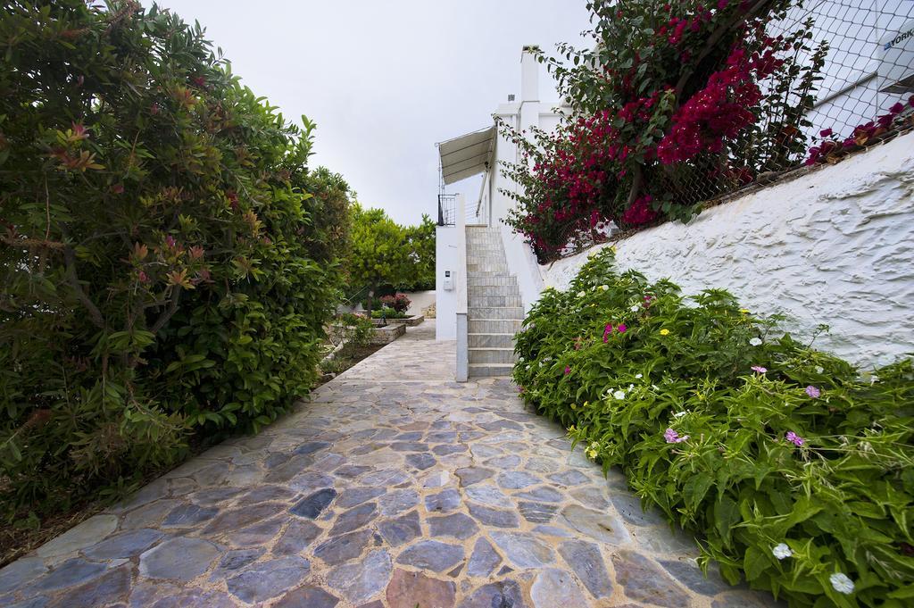 Paloma Luxury Studios Panormos  Bagian luar foto